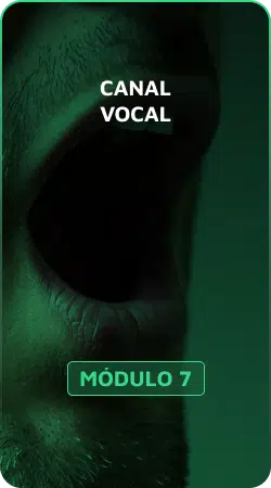 Módulo 7